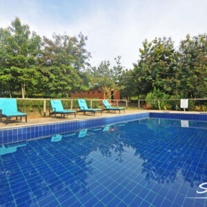Swimming pool in Queen Elizabeth National Park
